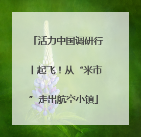 活力中国调研行丨起飞！从“米市”走出航空小镇