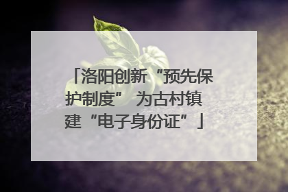 洛阳创新“预先保护制度” 为古村镇建“电子身份证”