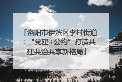 洛阳市伊滨区李村街道：“党建+公约”打造共建共治共享新格局