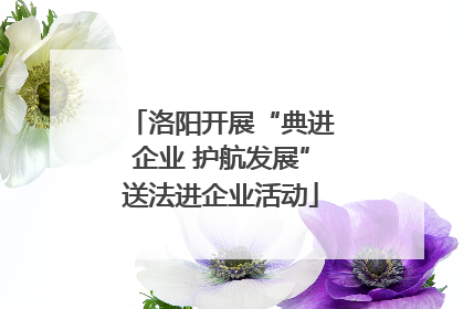 洛阳开展“典进企业 护航发展”送法进企业活动