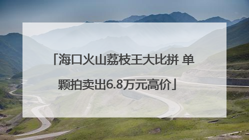 海口火山荔枝王大比拼 单颗拍卖出6.8万元高价