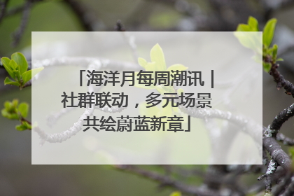 海洋月每周潮讯｜社群联动，多元场景共绘蔚蓝新章