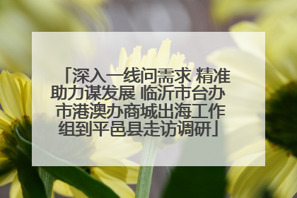 深入一线问需求 精准助力谋发展 临沂市台办 市港澳办商城出海工作组到平邑县走访调研
