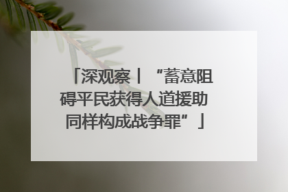 深观察丨“蓄意阻碍平民获得人道援助同样构成战争罪”