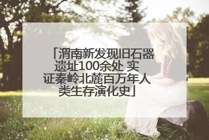 渭南新发现旧石器遗址100余处 实证秦岭北麓百万年人类生存演化史