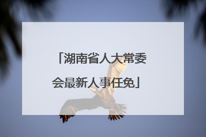 湖南省人大常委会最新人事任免