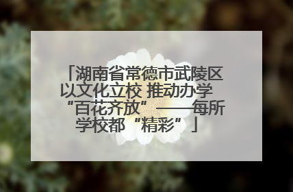 湖南省常德市武陵区以文化立校 推动办学“百花齐放”——每所学校都“精彩”