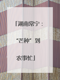 湖南常宁：“芒种”到 农事忙