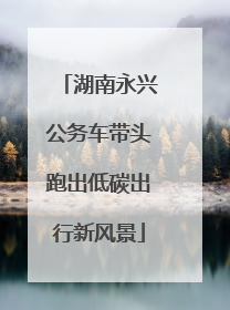 湖南永兴公务车带头跑出低碳出行新风景