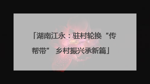 湖南江永：驻村轮换“传帮带” 乡村振兴承新篇