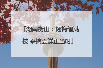 湖南衡山：杨梅缀满枝 采摘尝鲜正当时