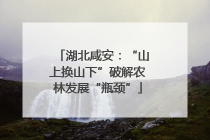 湖北咸安：“山上换山下”破解农林发展“瓶颈”