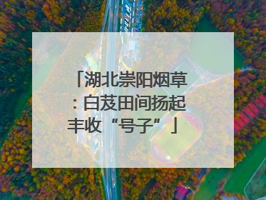 湖北崇阳烟草：白芨田间扬起丰收“号子”