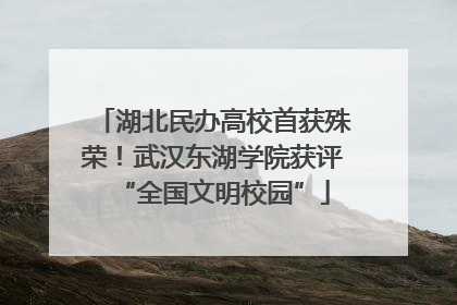 湖北民办高校首获殊荣！武汉东湖学院获评“全国文明校园”