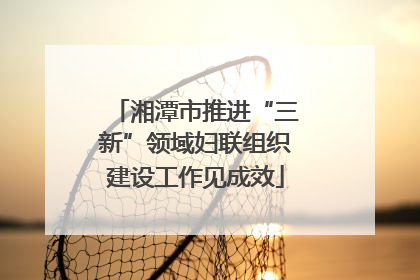 湘潭市推进“三新”领域妇联组织建设工作见成效