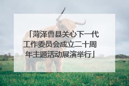 菏泽曹县关心下一代工作委员会成立二十周年主题活动展演举行