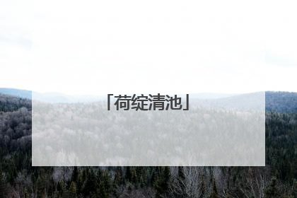 荷绽清池