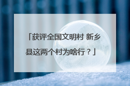 获评全国文明村 新乡县这两个村为啥行？