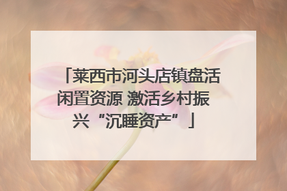 莱西市河头店镇盘活闲置资源 激活乡村振兴“沉睡资产”