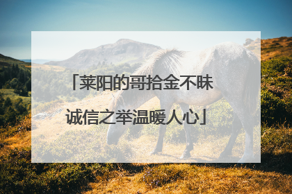 莱阳的哥拾金不昧 诚信之举温暖人心