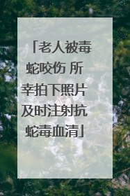 老人被毒蛇咬伤 所幸拍下照片及时注射抗蛇毒血清