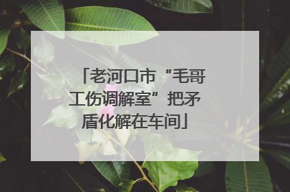 老河口市“毛哥工伤调解室”把矛盾化解在车间