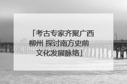 考古专家齐聚广西柳州 探讨南方史前文化发展脉络