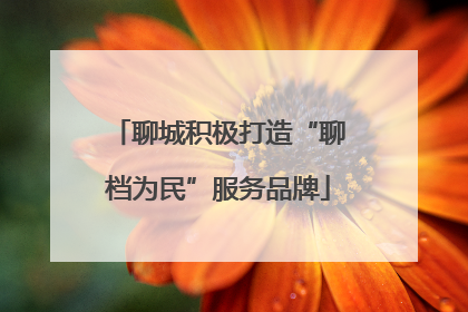 聊城积极打造“聊档为民”服务品牌