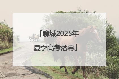 聊城2025年夏季高考落幕