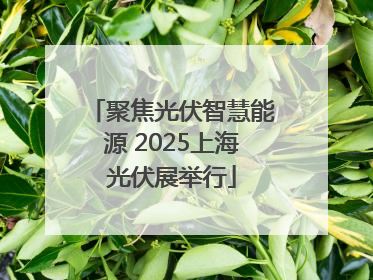 聚焦光伏智慧能源 2025上海光伏展举行