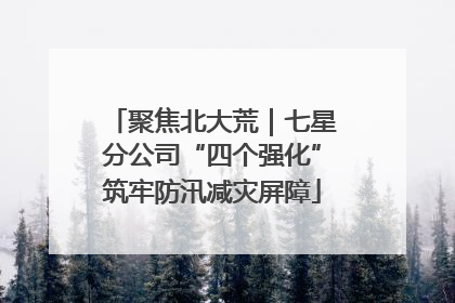 聚焦北大荒｜七星分公司“四个强化”筑牢防汛减灾屏障