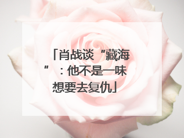 肖战谈“藏海”：他不是一味想要去复仇