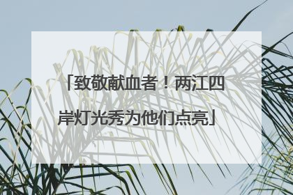 致敬献血者！两江四岸灯光秀为他们点亮