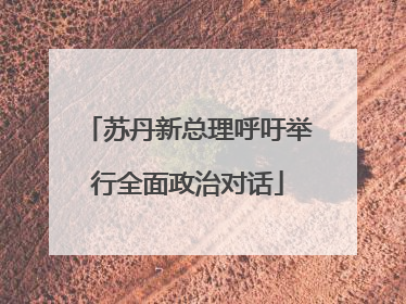苏丹新总理呼吁举行全面政治对话