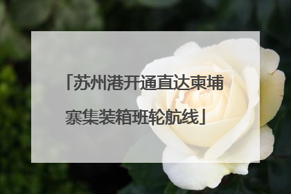 苏州港开通直达柬埔寨集装箱班轮航线