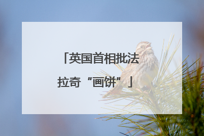英国首相批法拉奇“画饼”
