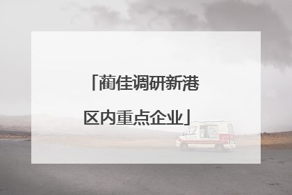 蔺佳调研新港区内重点企业