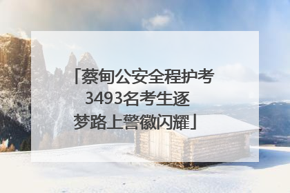 蔡甸公安全程护考 3493名考生逐梦路上警徽闪耀