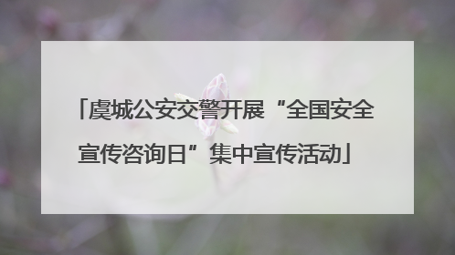 虞城公安交警开展“全国安全宣传咨询日”集中宣传活动