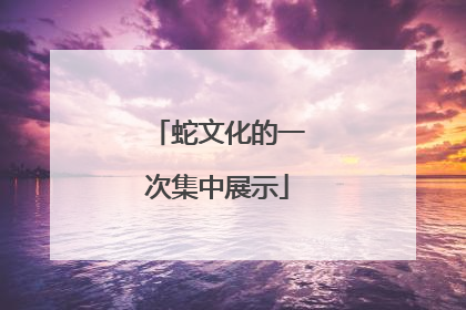 蛇文化的一次集中展示