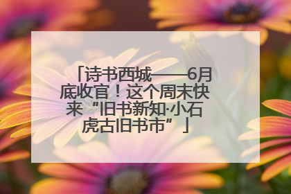诗书西城——6月底收官！这个周末快来“旧书新知·小石虎古旧书市”