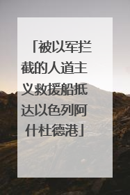 被以军拦截的人道主义救援船抵达以色列阿什杜德港