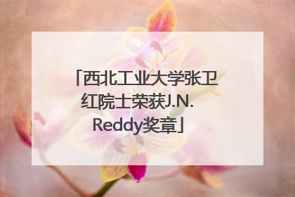 西北工业大学张卫红院士荣获J.N.Reddy奖章