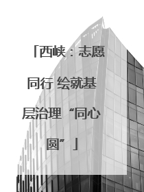 西峡：志愿同行 绘就基层治理“同心圆”