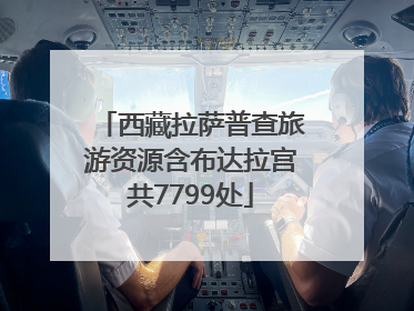 西藏拉萨普查旅游资源含布达拉宫共7799处