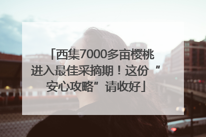 西集7000多亩樱桃进入最佳采摘期！这份“安心攻略”请收好