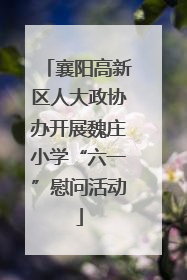 襄阳高新区人大政协办开展魏庄小学“六一”慰问活动