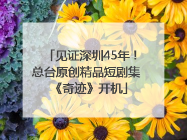 见证深圳45年！总台原创精品短剧集《奇迹》开机