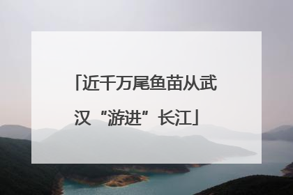 近千万尾鱼苗从武汉“游进”长江