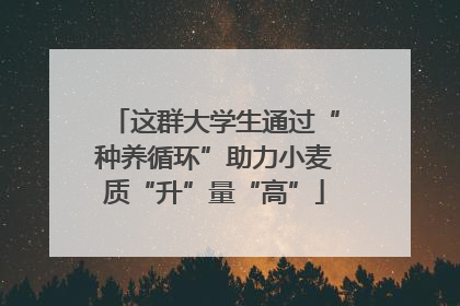 这群大学生通过“种养循环”助力小麦质“升”量“高”